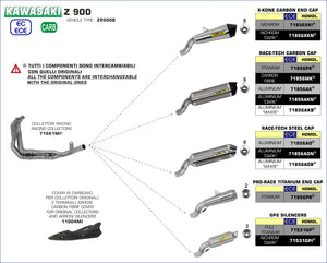 KAWASAKI Z900 HOMOLOGATED CARBON